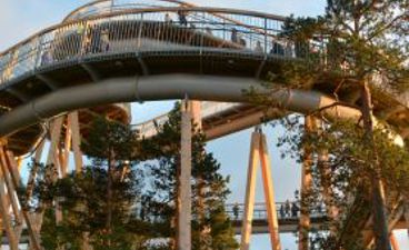 en berg-og-dal-bane med trær rundt