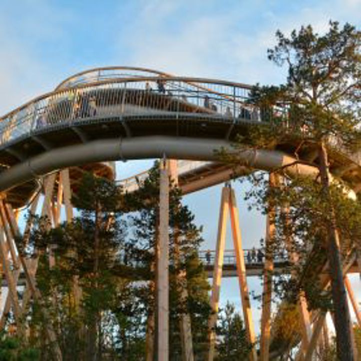 en berg-og-dal-bane med trær rundt