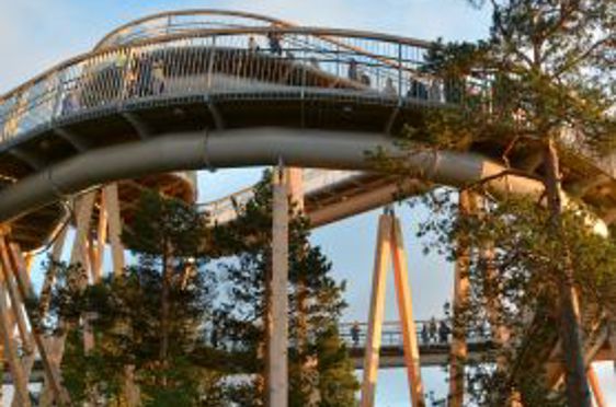 en berg-og-dal-bane med trær rundt